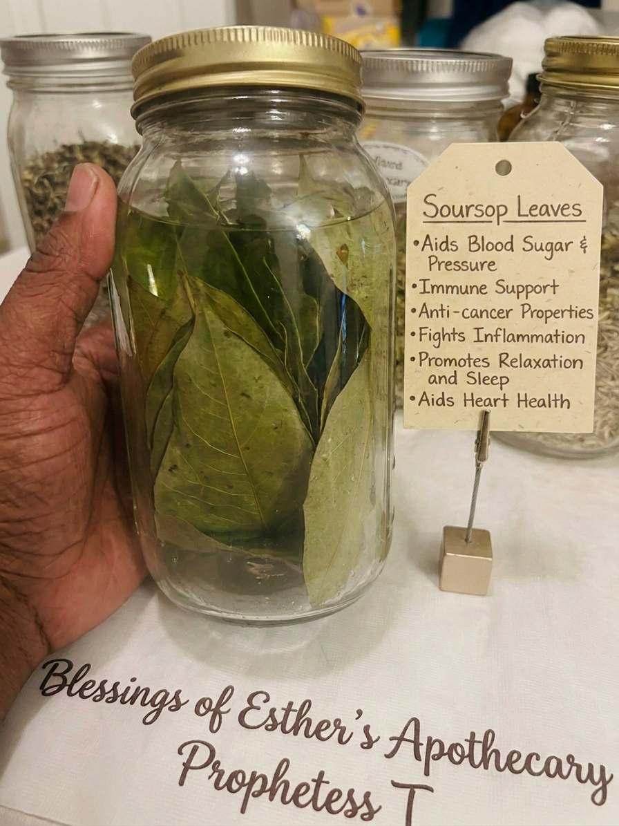 Soursop Leaves